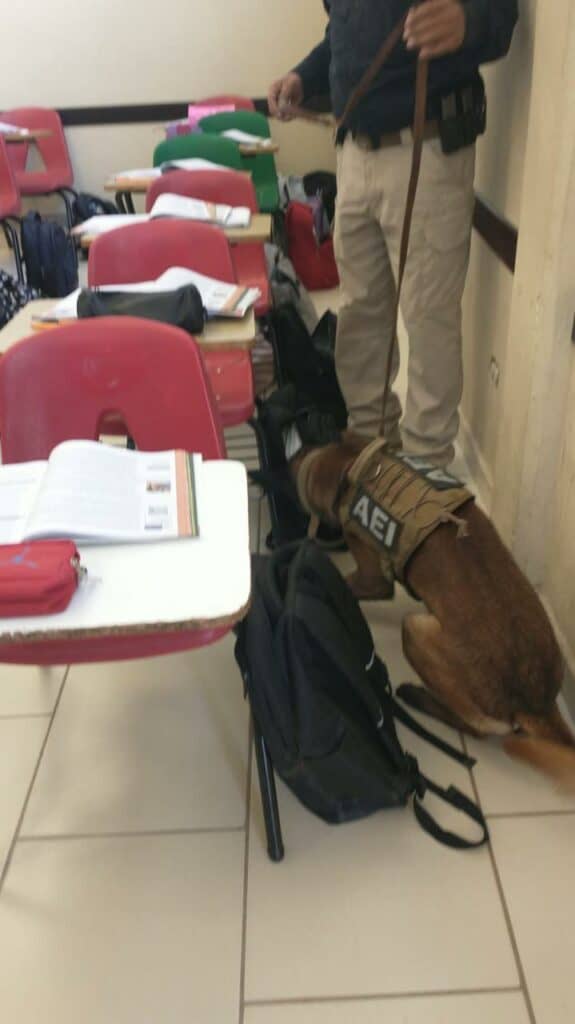 Realiza GOECHI intervenciones de prevención en Colegios de Bachilleres