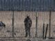 Texas moviliza agentes a la frontera con México ante «violencia de los cárteles»