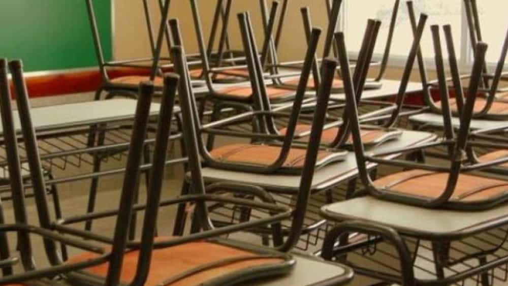 ¿Hay clases hoy 24 de febrero? Esto dice la SEP