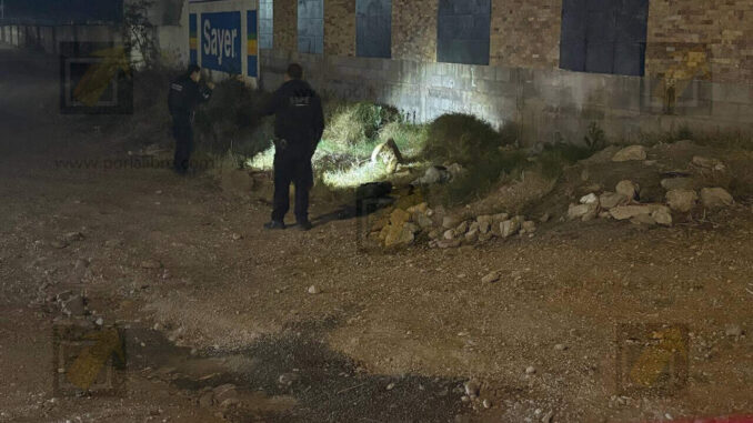 Localizan a hombre sin vida a un costado de dulcería en la carretera Aldama
