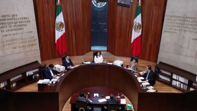 TEPJF frena uso de siglas CSP por organización que busca ser partido político
