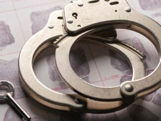 Detienen a 14 personas y liberan a un secuestrado en Veracruz
