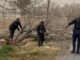 Retiran árbol que bloqueaba vialidad tras fuertes vientos; suman 29 apoyos