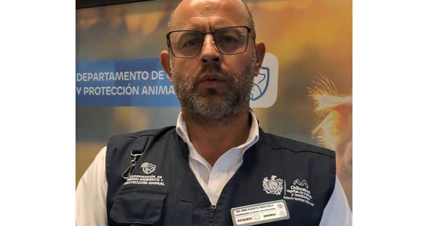 Aclara Gobierno Municipal funcionamiento del espacio temporal de resguardo animal