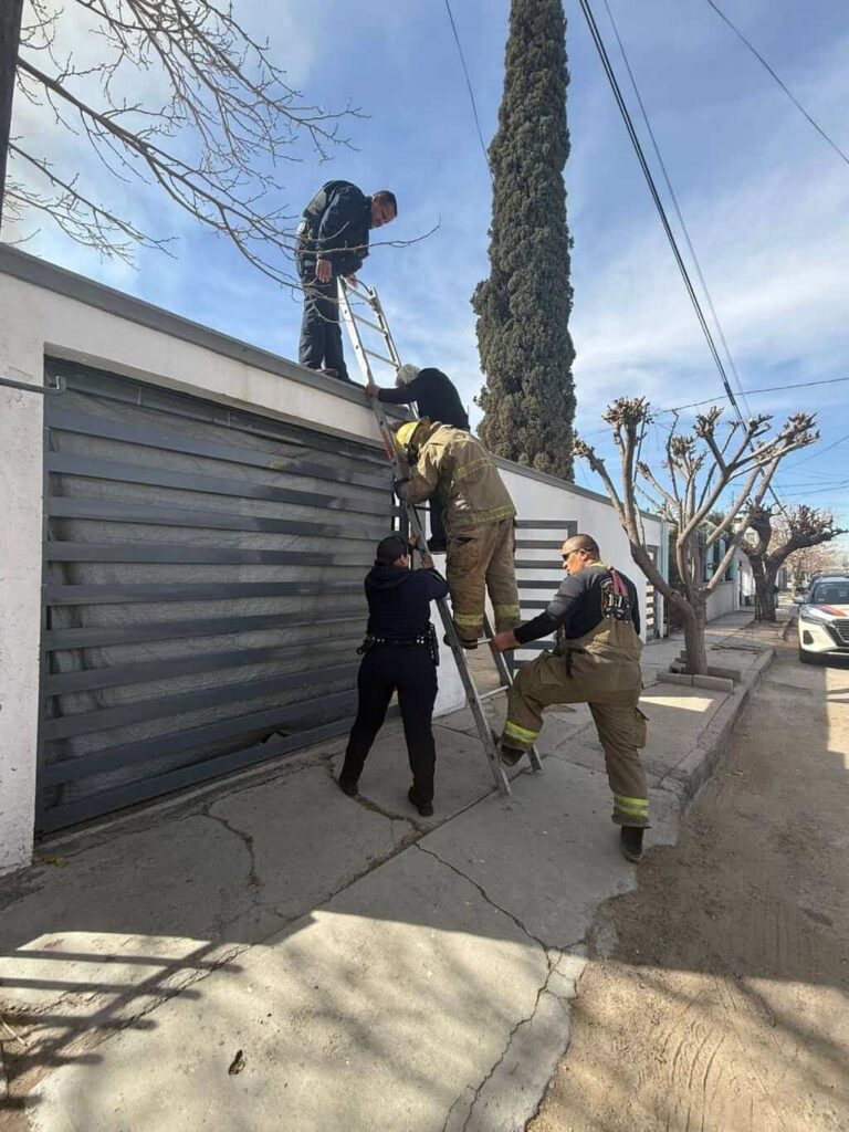 Rescatan a adulto mayor tras incendio en vivienda de la colonia Hidalgo