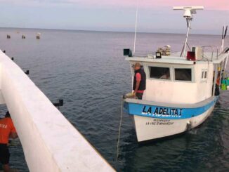 Marina asegura embarcación con 130 kilos de tiburón por pesca ilegal en Islas Marías