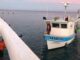 Marina asegura embarcación con 130 kilos de tiburón por pesca ilegal en Islas Marías