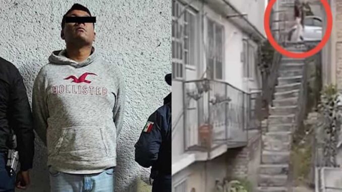 Dictan prisión preventiva a hombre acusado de arrojar al perro «Lobito» desde 10 metros de altura
