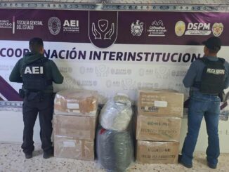 En operativo conjunto DSPM y FGE aseguran más de 90 kilos de aparente marihuana