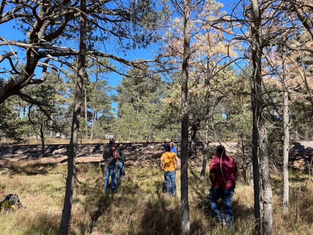 Intensifica Desarrollo Rural acciones para el combate y control de plagas forestales