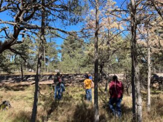 Intensifica Desarrollo Rural acciones para el combate y control de plagas forestales
