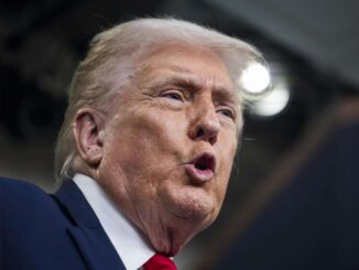 Trump dice que su arco del triunfo en Washington será «más grande que el de París»