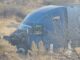Tráiler se sale del camino y queda destrozado en curva de la carretera Delicias–Chihuahua