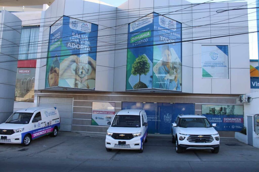 Mantiene Municipio el servicio de esterilización permanente en la Coordinación de Medio Ambiente y Protección Animal