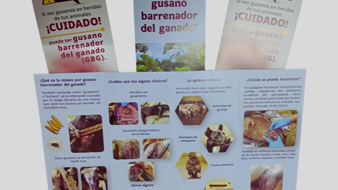 Refuerza Municipio acciones preventivas ante el gusano barrenador con capacitación de SENASICA