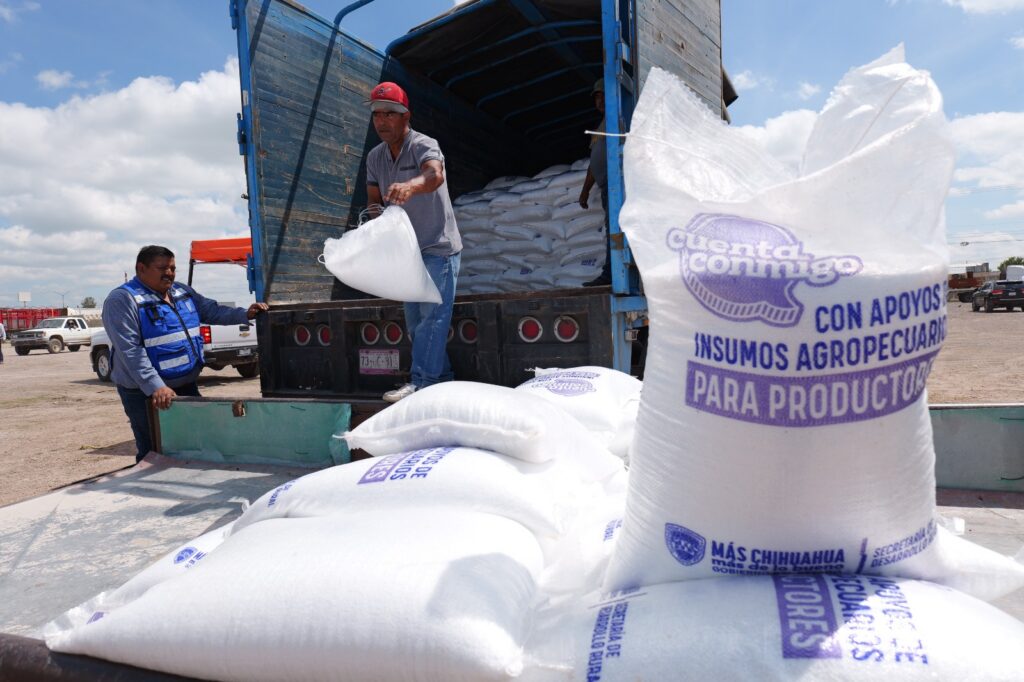 Arturo Zubía fortalece el campo de Camargo con la entrega de 33 toneladas más de fertilizante subsidiado