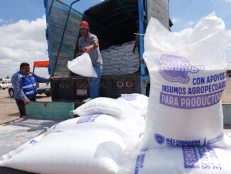 Arturo Zubía fortalece el campo de Camargo con la entrega de 33 toneladas más de fertilizante subsidiado