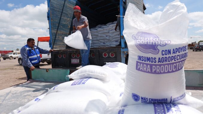 Arturo Zubía fortalece el campo de Camargo con la entrega de 33 toneladas más de fertilizante subsidiado