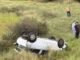 Pareja herida tras salida de camino por pavimento mojado en carretera Chihuahua-Cuauhtémoc