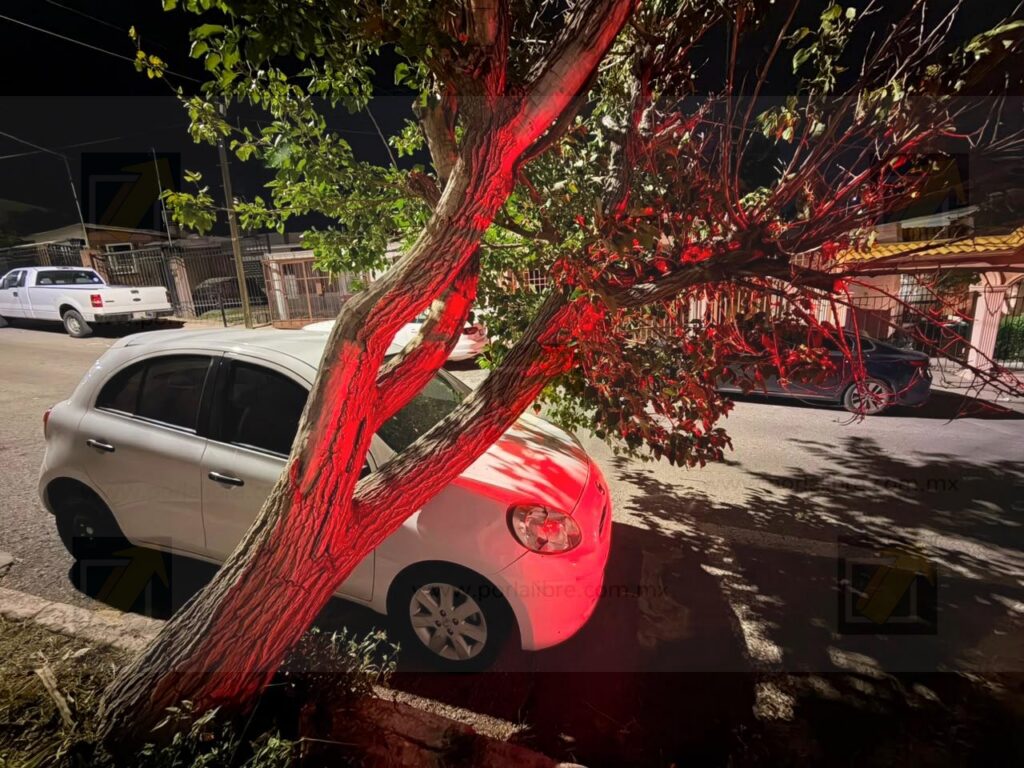 Árbol de gran tamaño cae sobre vehículo estacionado y provoca daños materiales