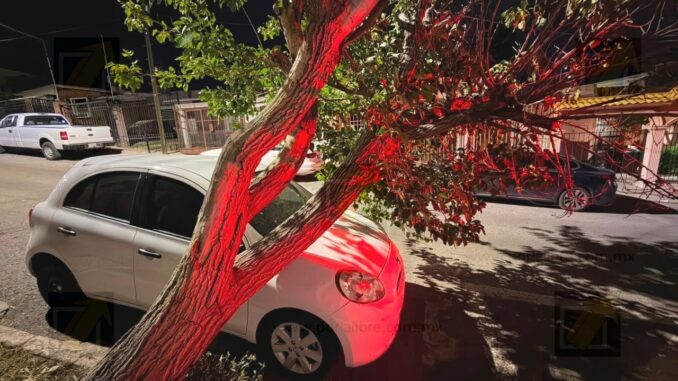 Árbol de gran tamaño cae sobre vehículo estacionado y provoca daños materiales