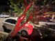 Árbol de gran tamaño cae sobre vehículo estacionado y provoca daños materiales