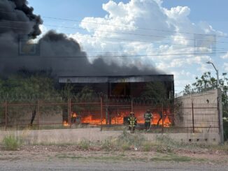 Voraz incendio consume predio rumbo a Cuauhtémoc; moviliza a más de cinco unidades de Bomberos