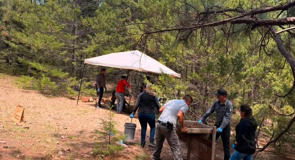 En rastreo, localizan osamenta en brecha Bahuichivo-El Churo, municipio de Urique