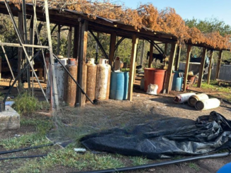 Célula BOI ubica narcolaboratorio de metafentaminas y fentanilo en zona serrana de Parral