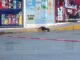 Muere por sobredosis en estacionamiento del boulevard Juan Pablo II