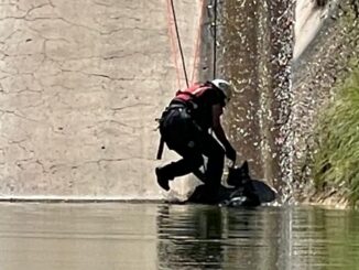Cae mascota en la Presa Chihuahua; bomberos la rescatan y la entregan a su dueño