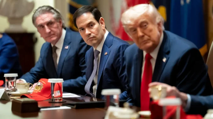 Rubio: cárteles asesinan a periodistas, jueces y políticos en México. Son «la cabeza de la serpiente»