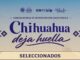 Anuncia Gobierno Municipal a los 15 artistas seleccionados de la convocatoria “Chihuahua Deja Huella”