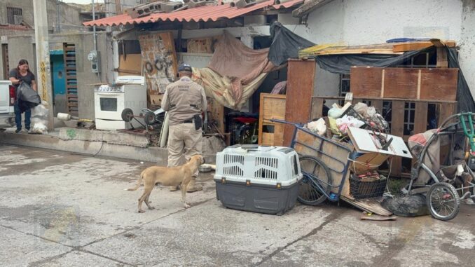 Rescatan a 4 perritos de vivienda en la colonia Alianza Popular