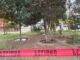 Ultiman a hombre en su vehículo frente a parque de Paseos Chihuahua