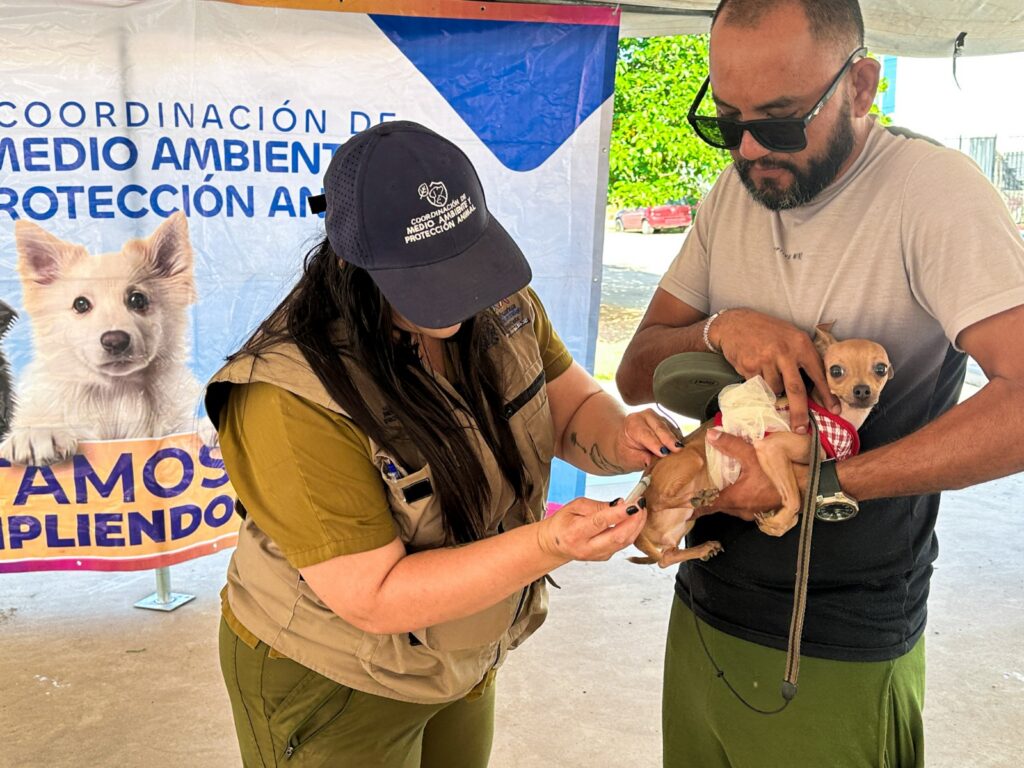 Brinda Municipio más de 940 servicios gratuitos para perros y gatos en Vistas Cerro Grande