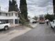 Pino de más de 20 metros cae sobre vivienda y cables de telefonía en San Felipe