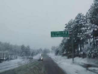 Reportan 11 municipios con presencia de nieve por paso de Tormenta Invernal