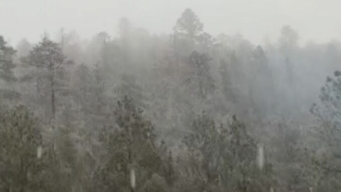 Sierra Tarahumara amanece bajo la nieve por impacto de la Tercera Tormenta Invernal
