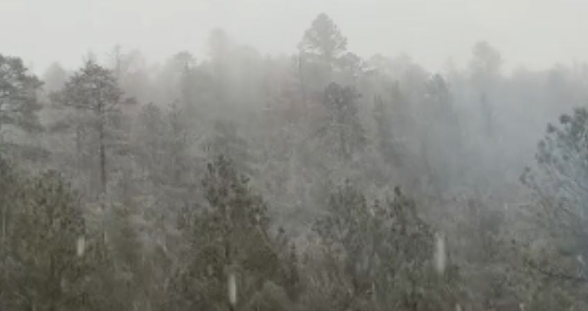 Sierra Tarahumara amanece bajo la nieve por impacto de la Tercera Tormenta Invernal