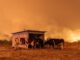 México expresa solidaridad con Chile por incendios en Ñuble y Biobío