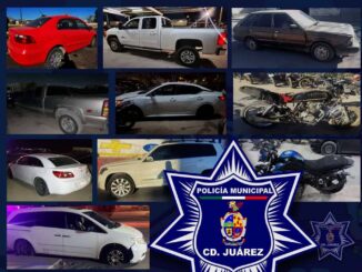 Recuperan 11 vehículos con reporte de robo