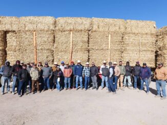 Arturo Zubía entrega primeras 500 pacas de rastrojo a productores ganaderos de Jiménez