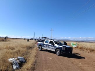 Arrojan dos ejecutados en campo menonita