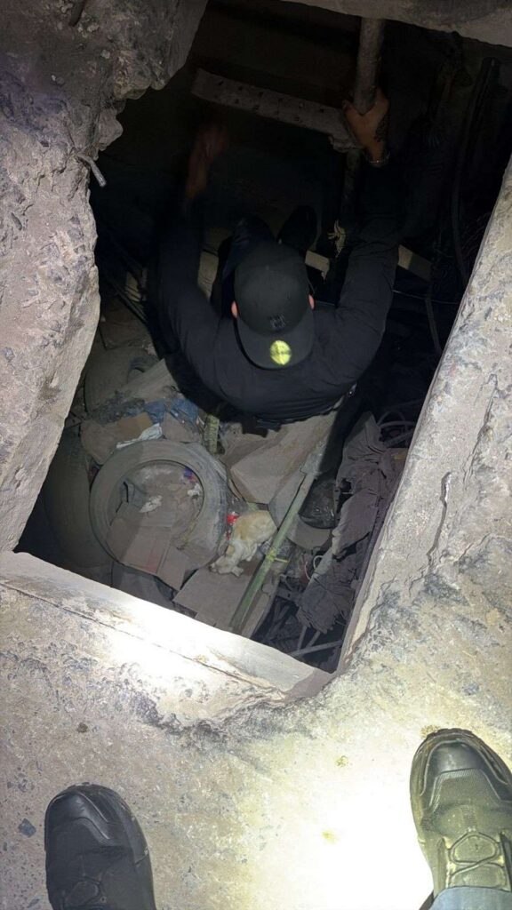 Rescatan policías a perro atrapado en drenaje