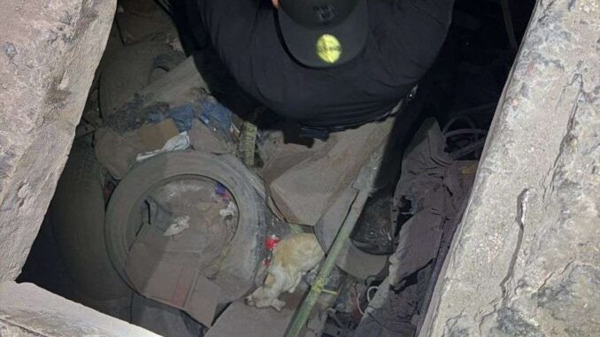 Rescatan policías a perro atrapado en drenaje