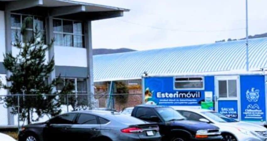 Esterimóvil estará en Zona Romanzza; invitan a agendar para esterilización gratuita