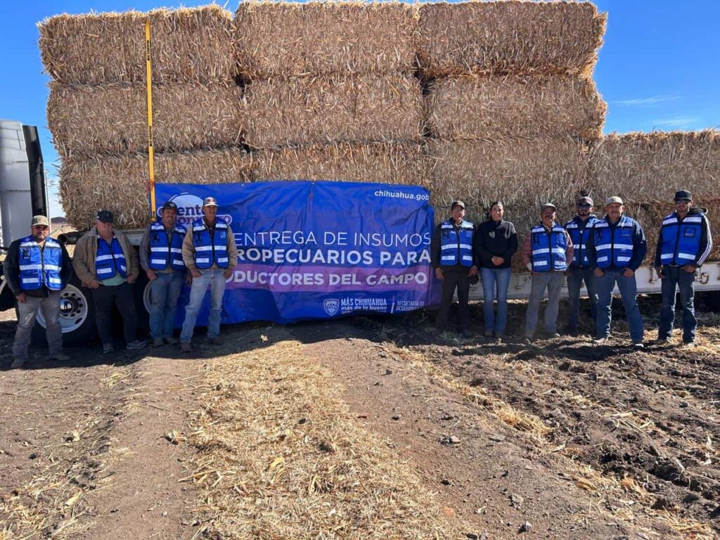 Suman cerca de 3 mil pacas de rastrojo entregadas a productores durante los primeros días de enero