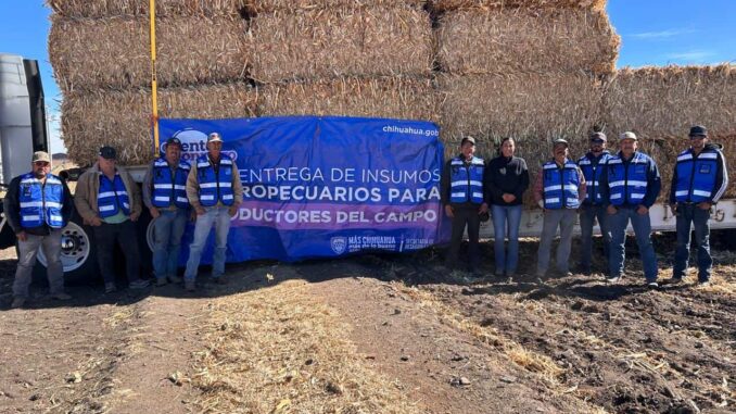 Suman cerca de 3 mil pacas de rastrojo entregadas a productores durante los primeros días de enero
