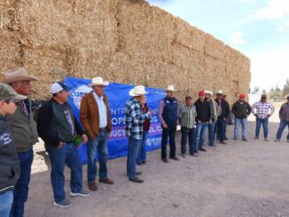 Arturo Zubía anuncia reinicio de actividades y apoyos al sector productivo del Distrito XX